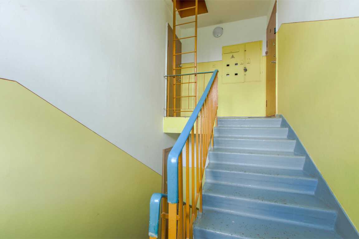 Butas, Žemaičių g., Panevėžio m.
