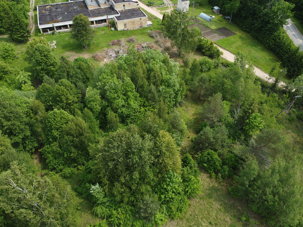 Estate photo
