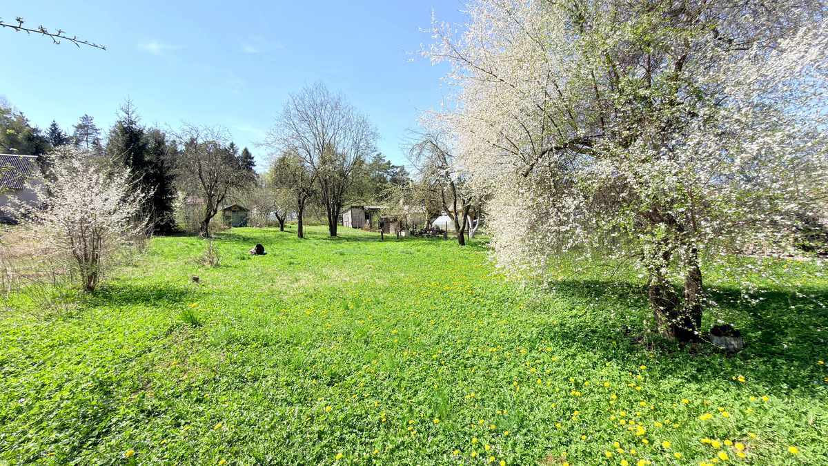 Estate photo