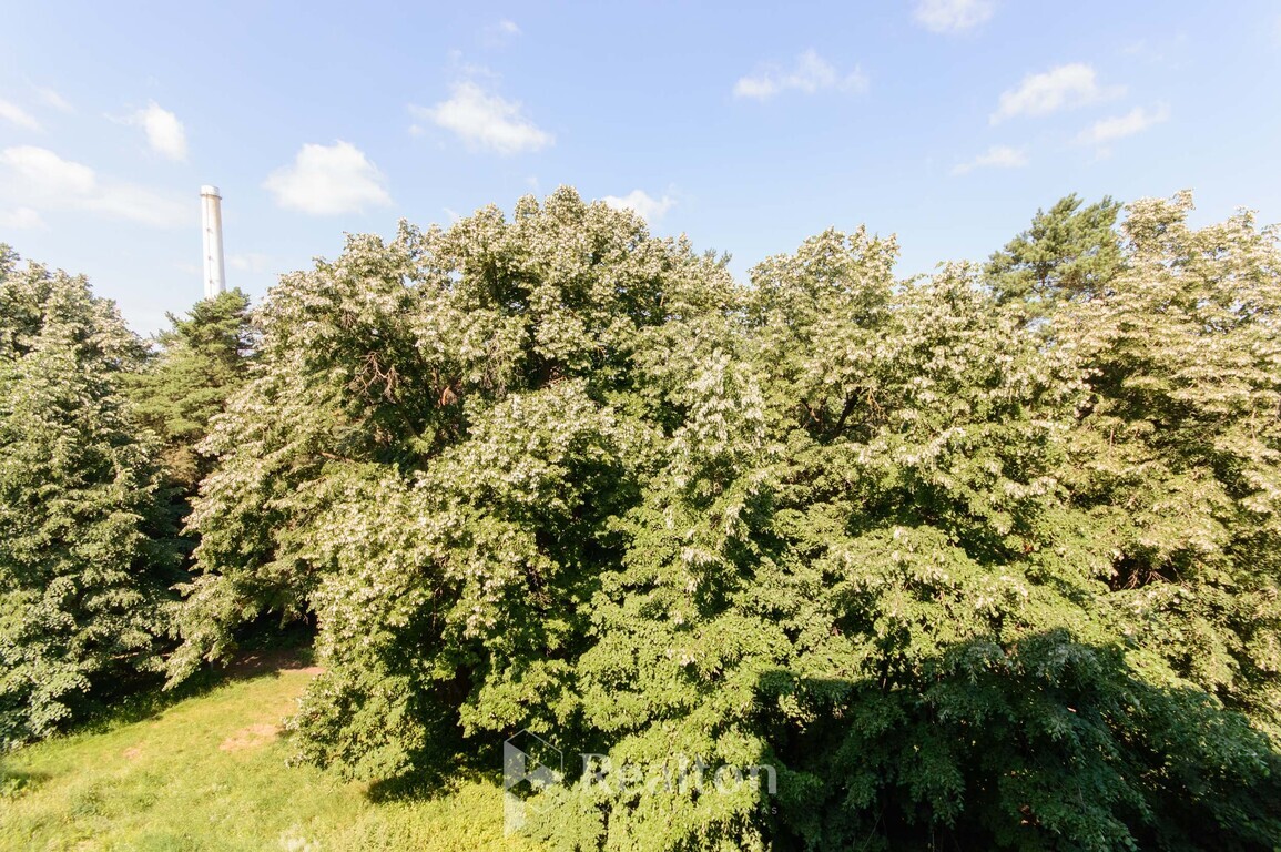 Nuomojamas butas Vilkpėdės g., Naujamiestyje, Vilnius, 35 kv.m ploto, 2 kambariai-image-293206818