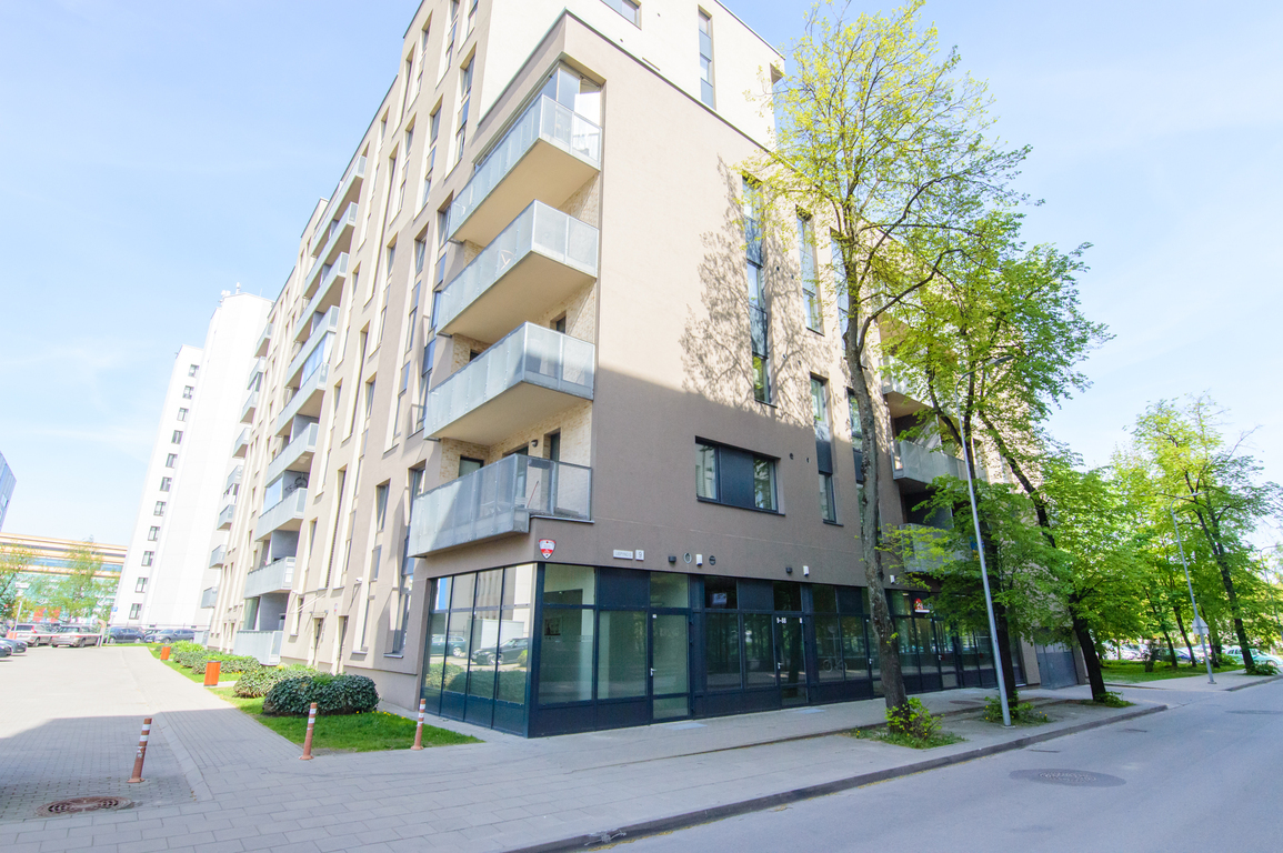 Nuomojamas butas Liepyno g., Žvėryne, Vilniuje, 58 kv.m ploto-image-293208475