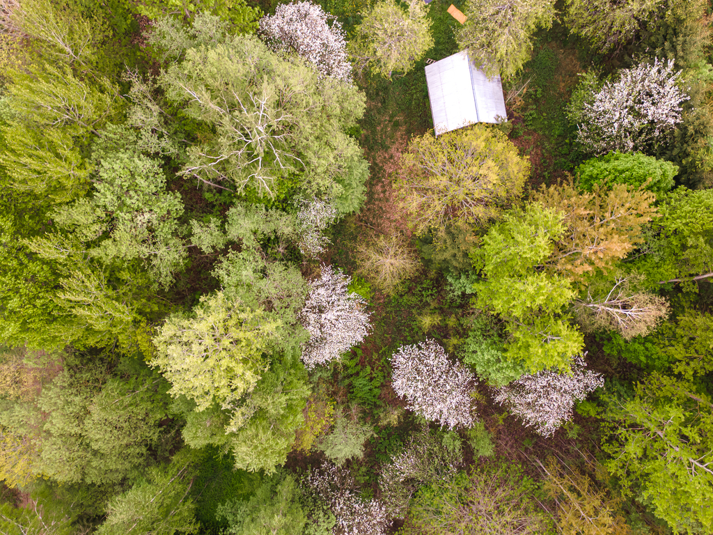 Estate photo