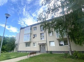 Photo 7