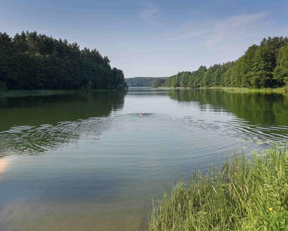 Parduodamas 1,10 ha sklypas prie Veisiejų ežero, Kapčiamiesčio mstl., Lazdijų r. sav.