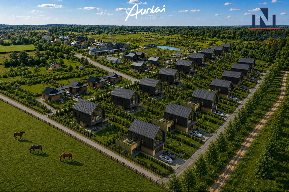 Vilniaus raj., Bendoriuose, projekte 