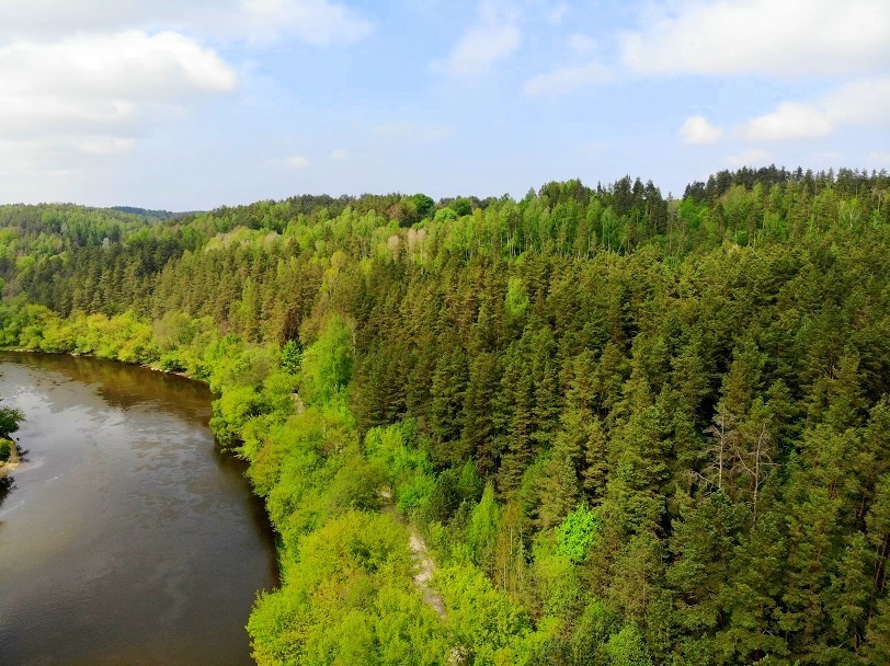 Parduodamas sklypas Naujakiemis, 900 a ploto