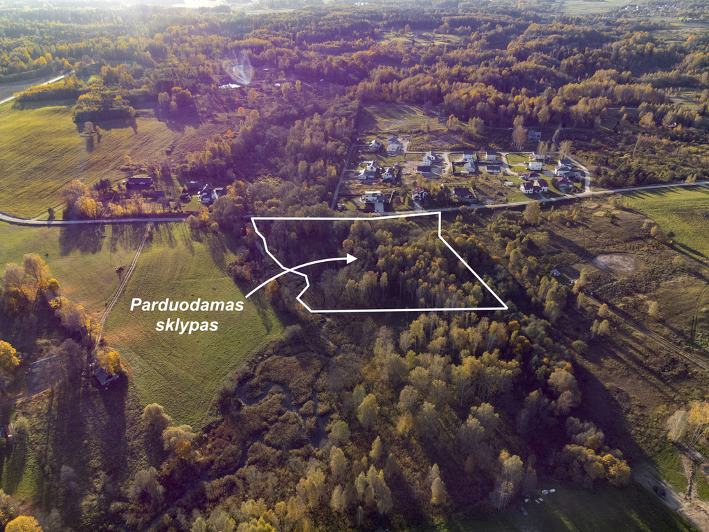 Parduodamas sklypas Žalesa, 205 a ploto