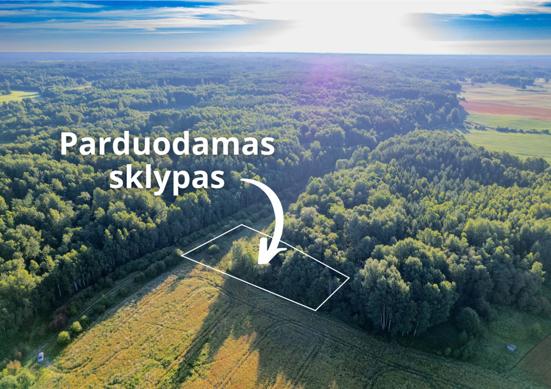 Parduodamas sklypas Rudokai, 28 a ploto