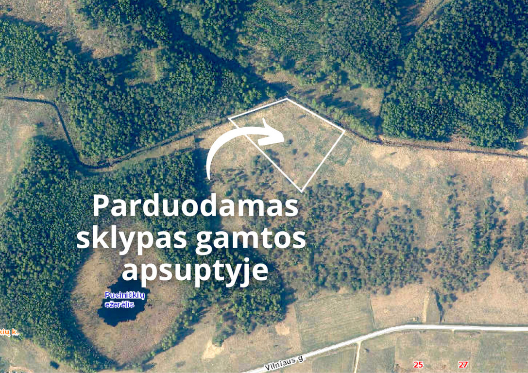 Parduodamas sklypas Galinė, 174 a ploto