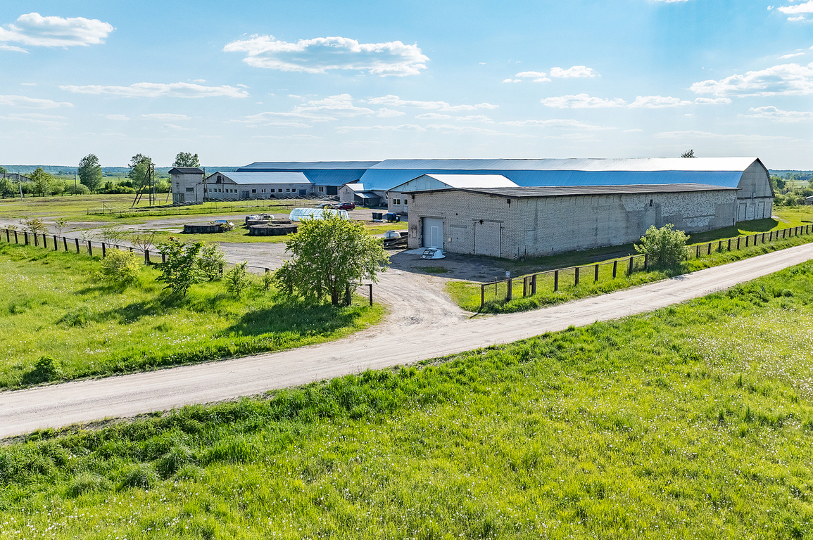 Parduodamos patalpos Naujoji g., Kraujaleidžiai, 5000 kv.m ploto