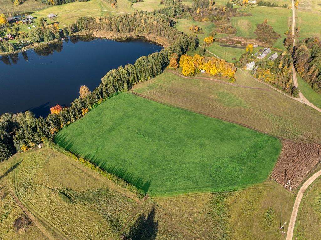 Parduodamas sklypas Maksiūnai, 175 a ploto