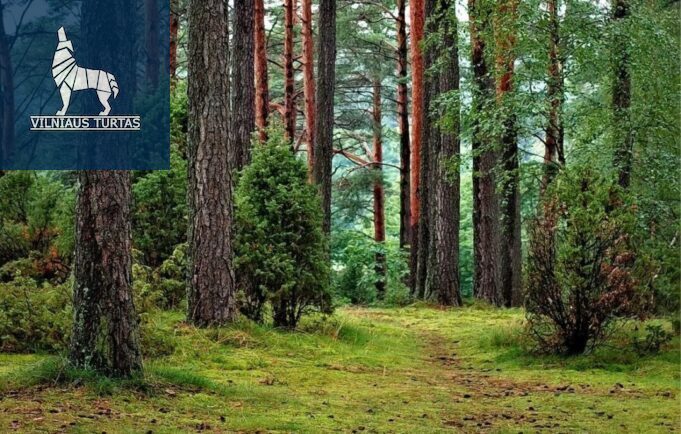 Parduodamas sklypas Smėlynė, 250 a ploto