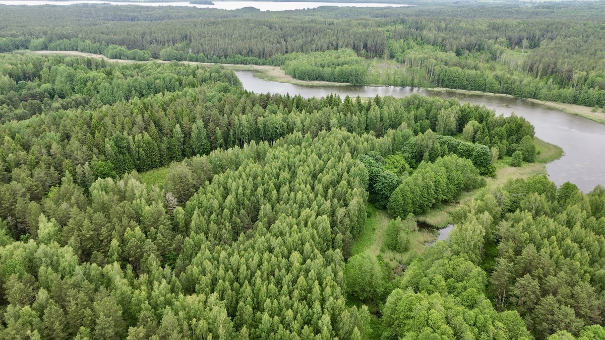 Parduodamas sklypas Navikų k., 345 a ploto