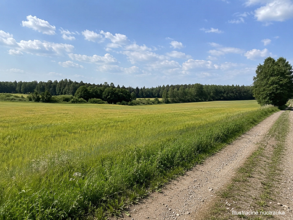 Parduodamas sklypas Kudlos, 2088 a ploto
