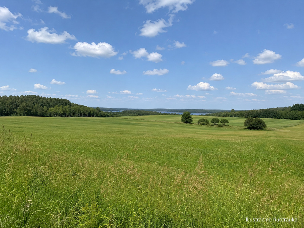Parduodamas sklypas Gojaus k., 544 a ploto