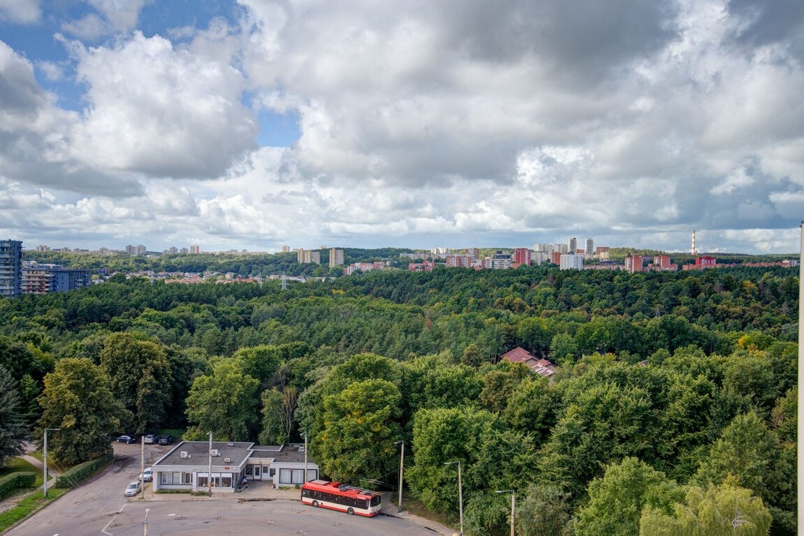 Parduodamas butas Žirmūnų g., Žirmūnuose, Vilnius, 36.96 kv.m ploto, 2 kambariai