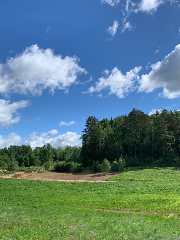 Parduodamas sklypas Gamtos g., Pikutiškės, 10 a ploto