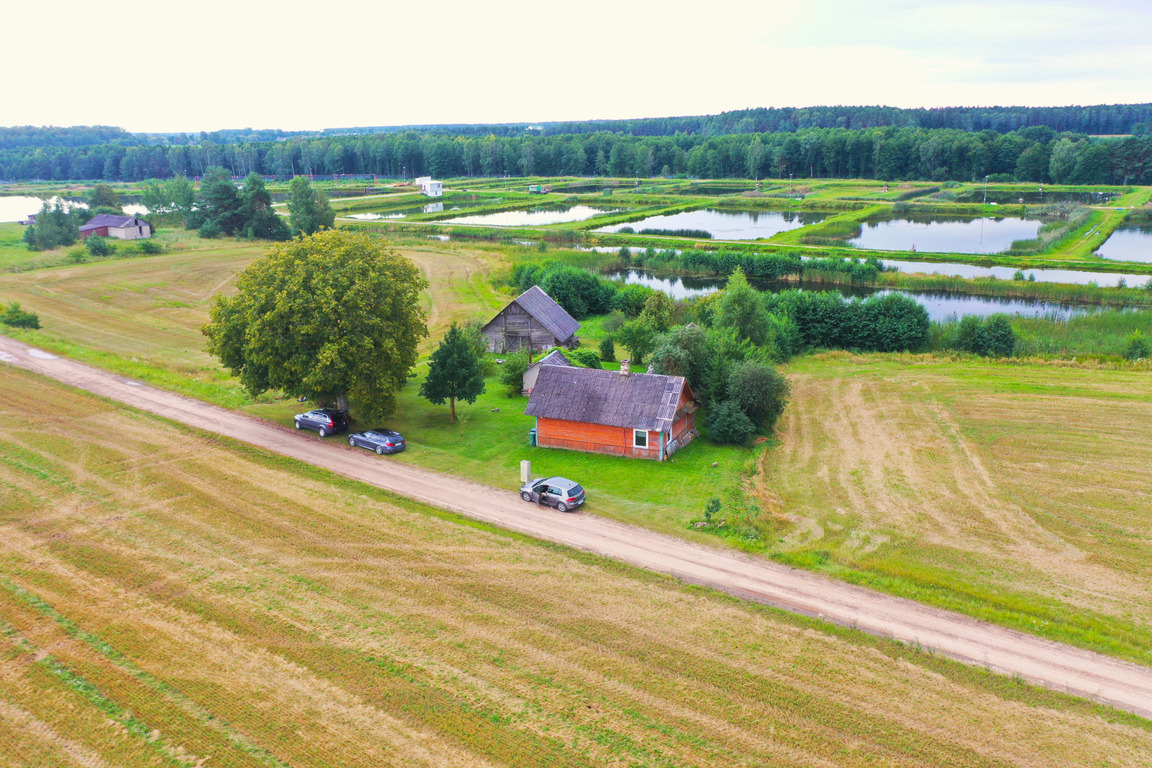Gulbių g. 19, Tribonių k.