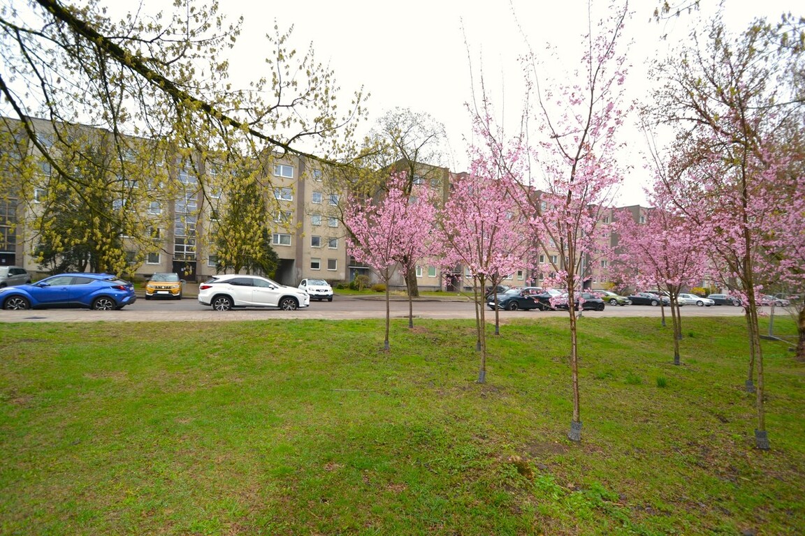 Nuomojamas butas S. Konarskio g., Naujamiestyje, Vilnius, 33 kv.m ploto, 1 kambariai