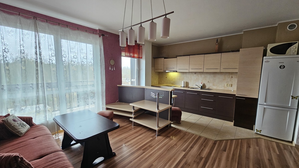 Nuomojamas butas Fabijoniškėse, Vilnius, 53.1 kv.m ploto, 2 kambariai