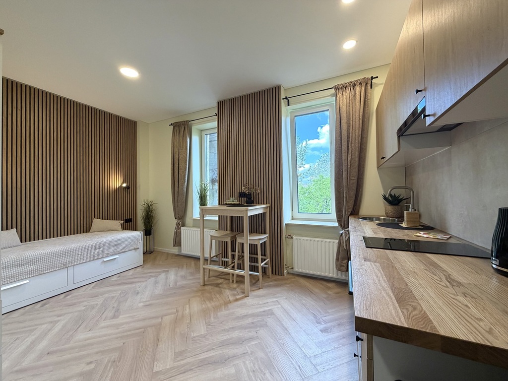 Nuomojamas butas Švitrigailos g., Naujamiestyje, Vilnius, 25 kv.m ploto, 1 kambariai