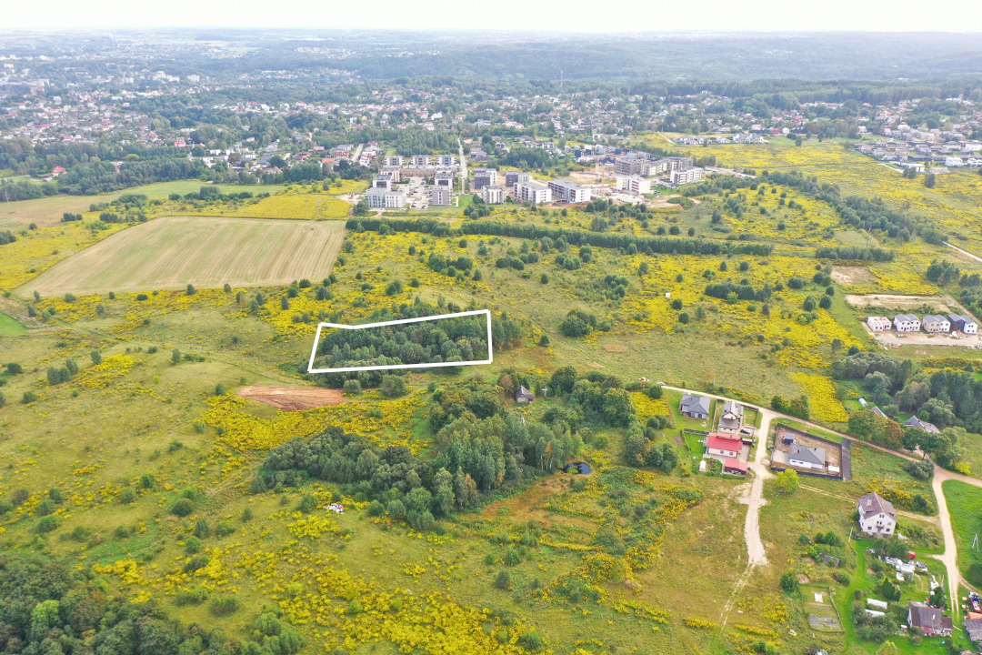 Pupų g., Dvarčionys