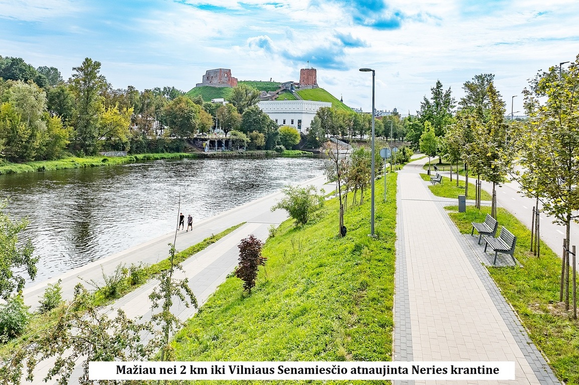 Parduodamas 3 kamb. butas Tuskulėnų g., Žirmūnuose, Vilniuje