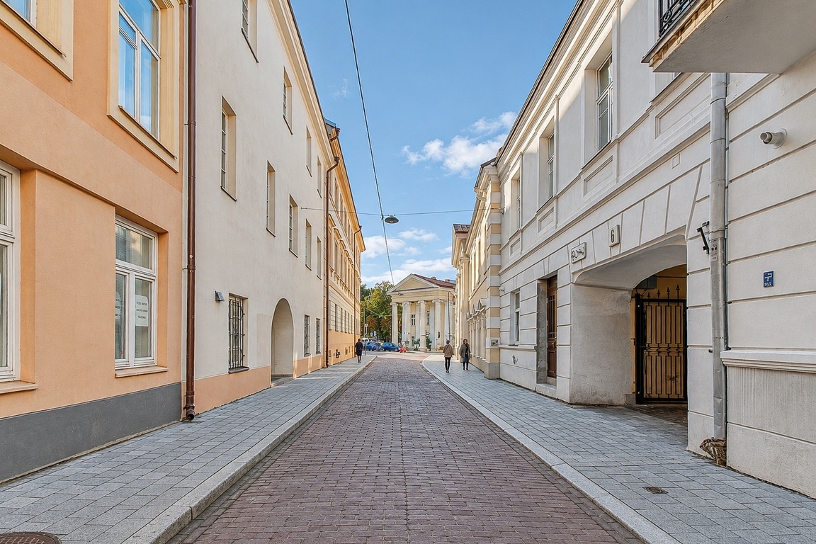 Nuomojamas 2 kambarių butas S. Skapo g., Senamiestyje
