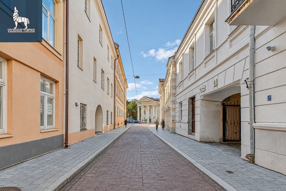 Nuomojamas 2 kambarių butas S. Skapo g., Senamiestyje