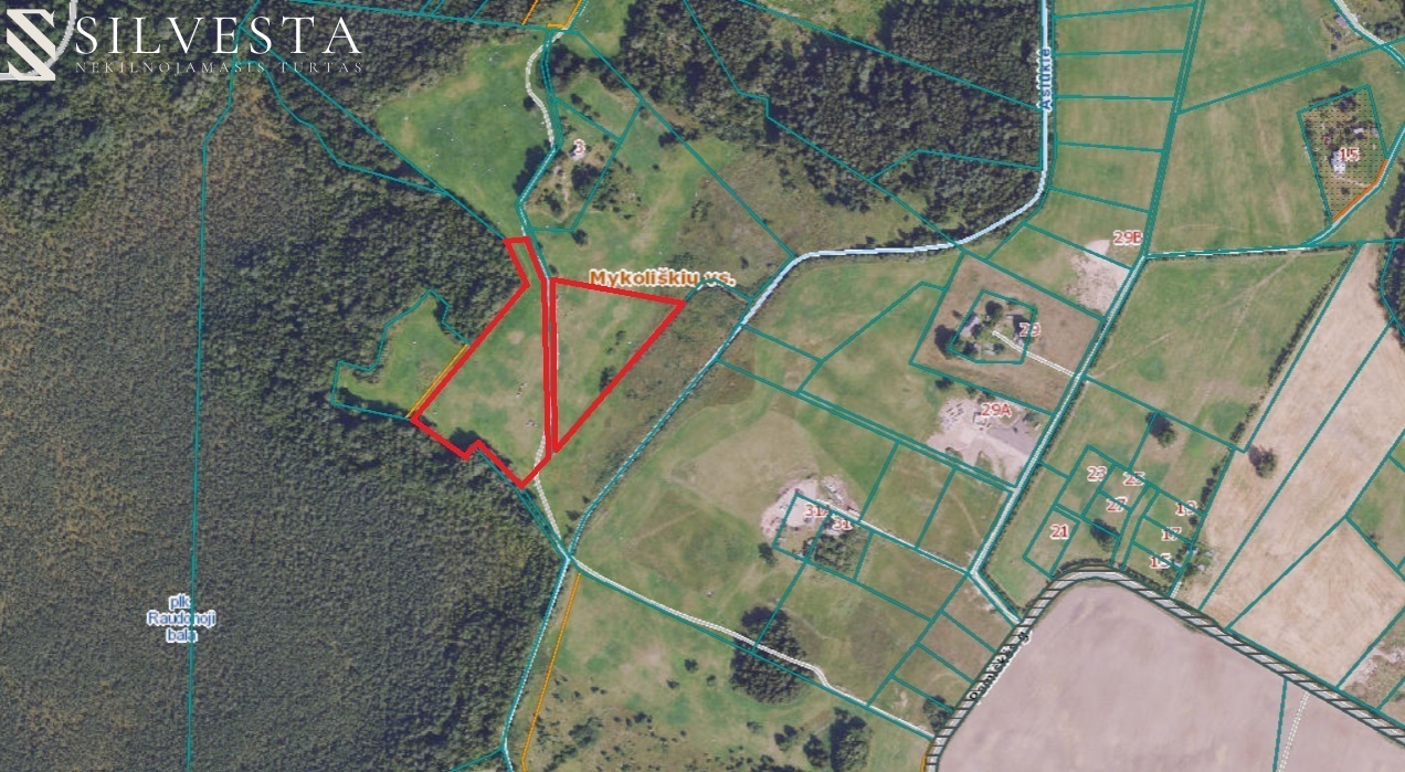 Parduodami du sklypai Mykoliškėse, bendro 2,5 ha ploto
