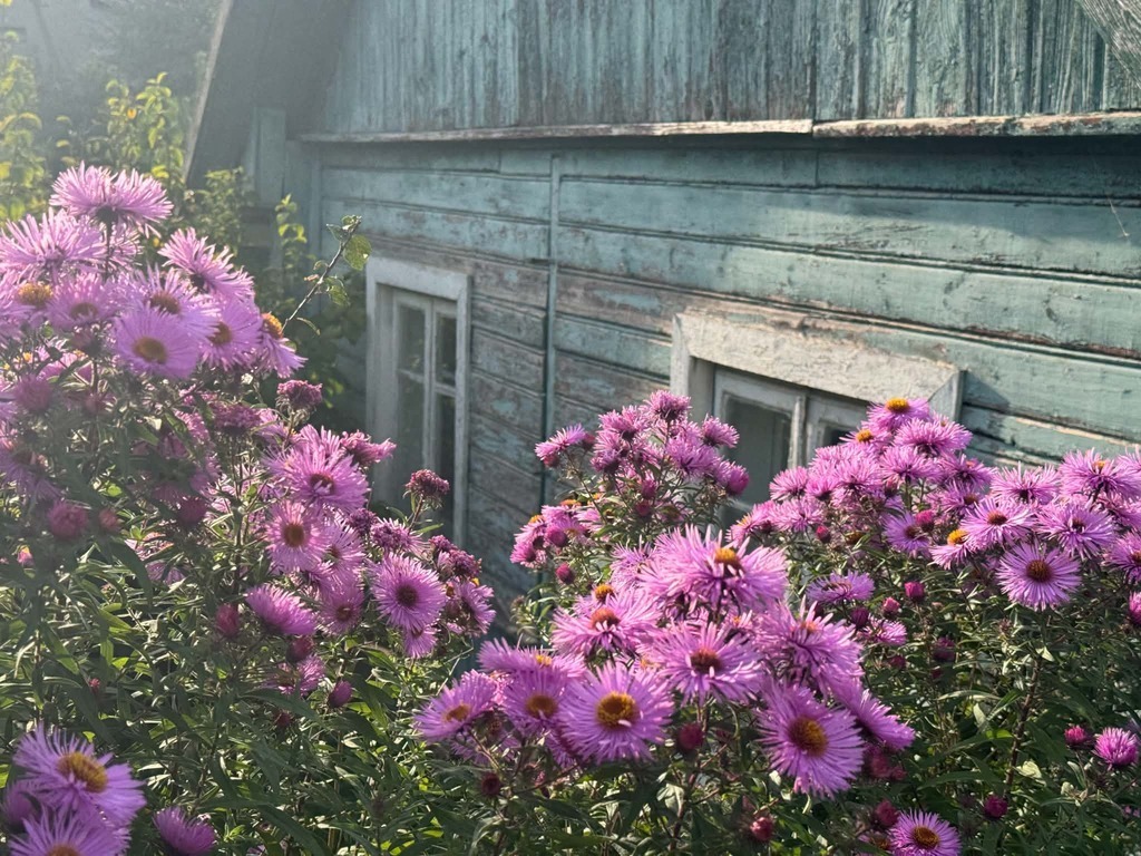 PARDUODAMAS 17 a. Namų valdos sklypas RUDAMINOJE, Vilniaus g.!