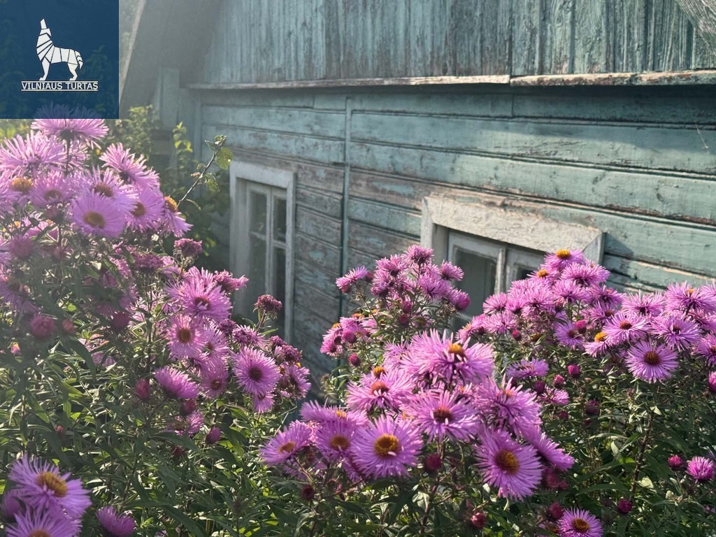 PARDUODAMAS 17 a. Namų valdos sklypas RUDAMINOJE, Vilniaus g.!
