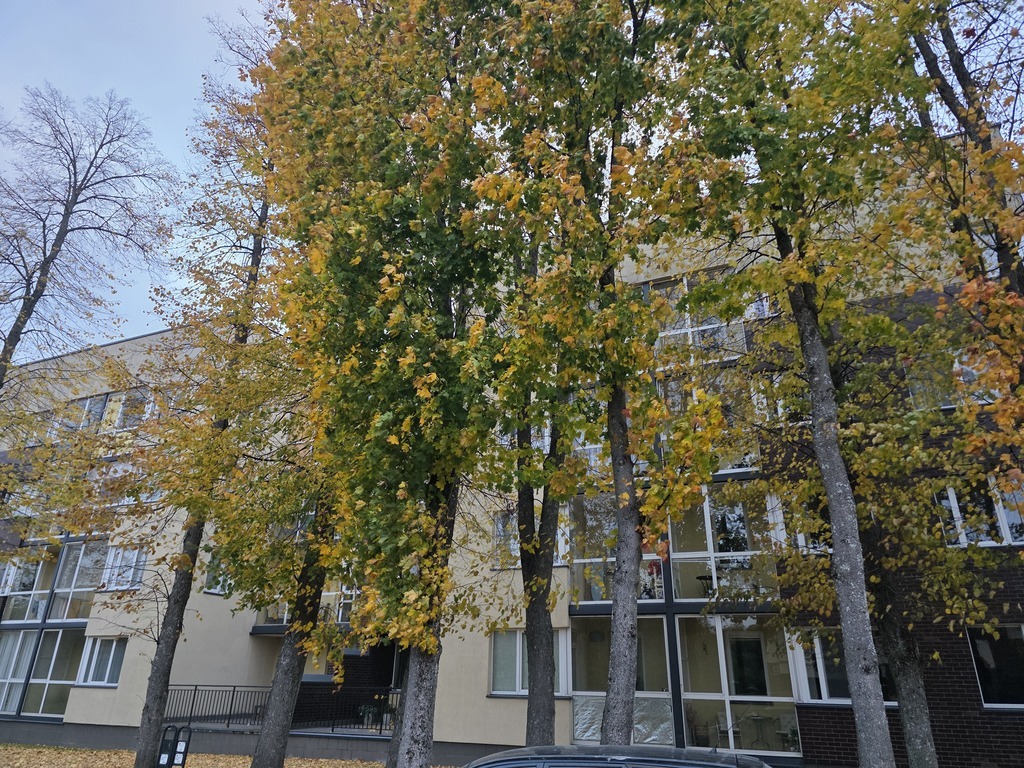 Nuomojamas butas Klaipėdos g., , Klaipėda, 55 kv.m ploto