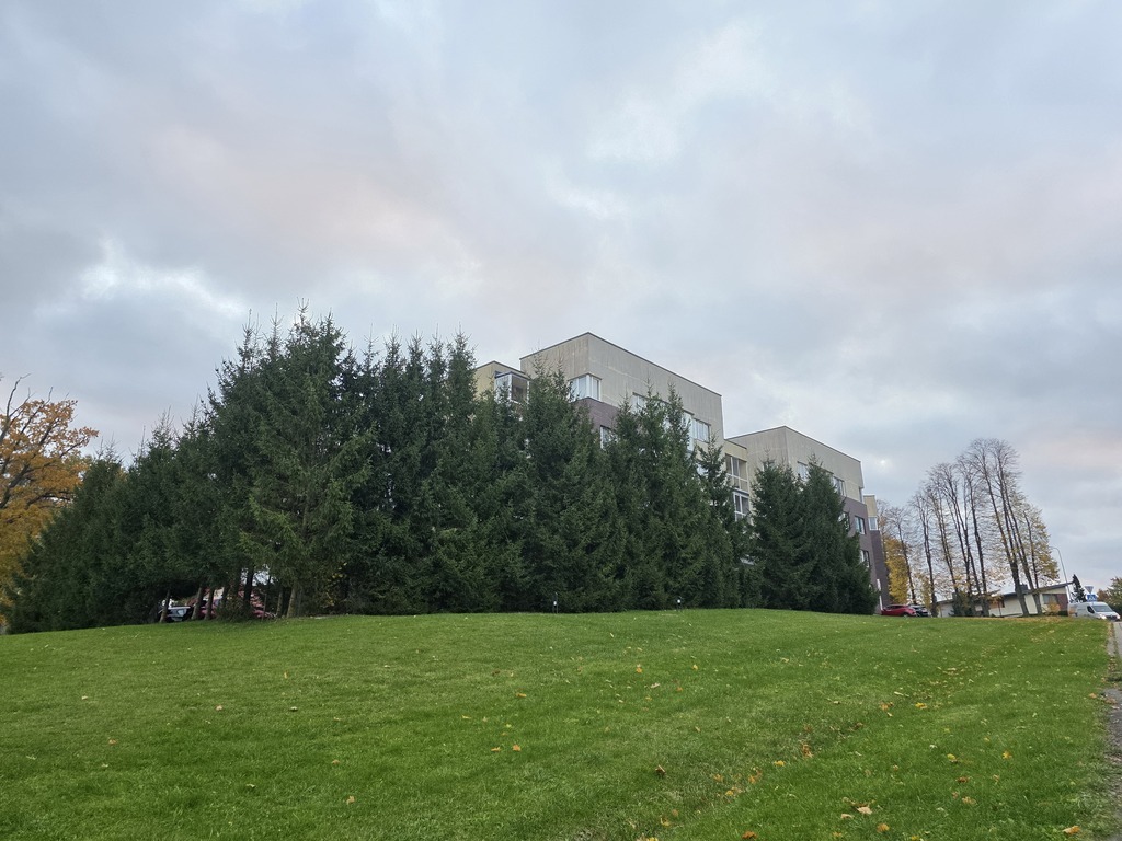 Nuomojamas butas Klaipėdos g., , Klaipėda, 55 kv.m ploto