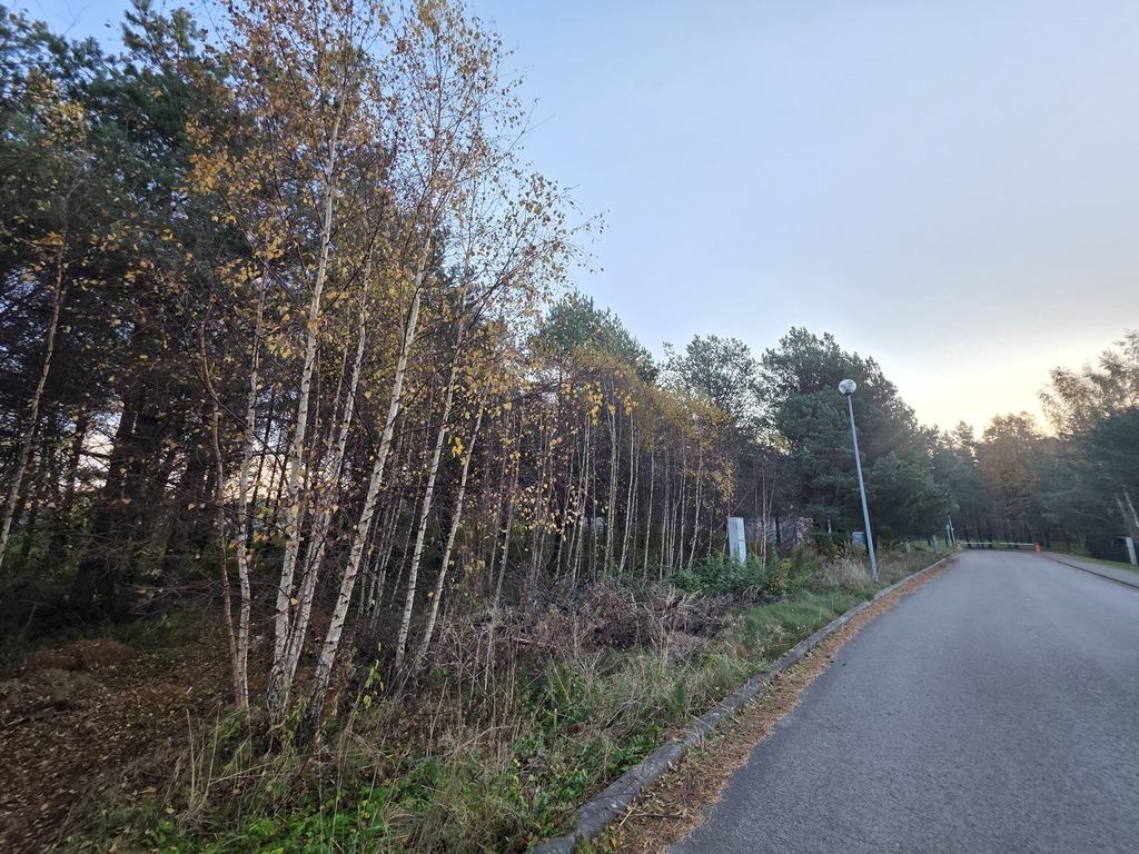 Parduodamas sklypas Vyturio g., Ketvergiai, 19.61 a ploto
