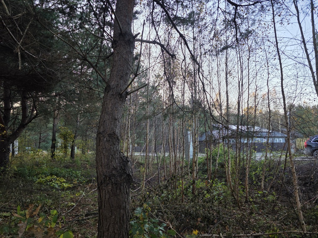 Parduodamas sklypas Vyturio g., Ketvergiai, 19.61 a ploto