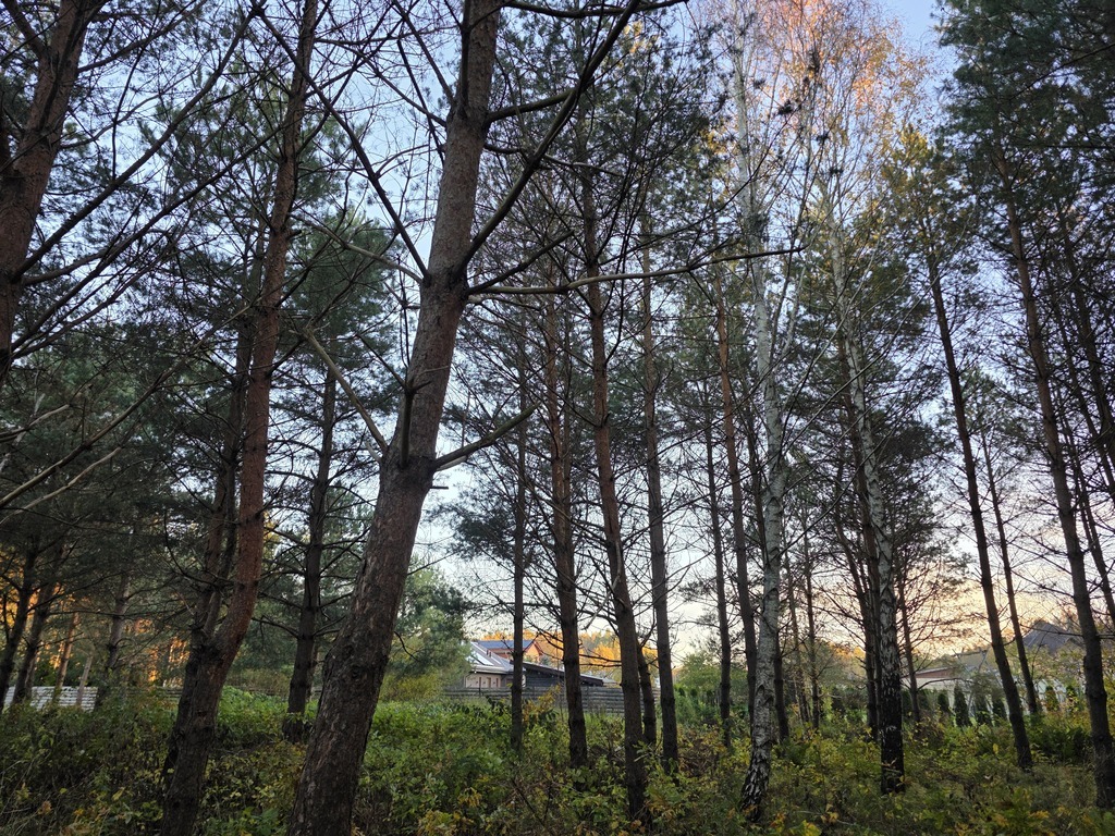 Parduodamas sklypas Vyturio g., Ketvergiai, 19.61 a ploto