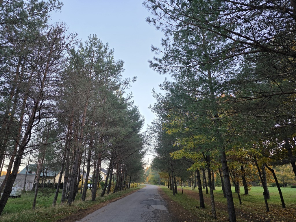 Parduodamas sklypas Vyturio g., Ketvergiai, 19.61 a ploto