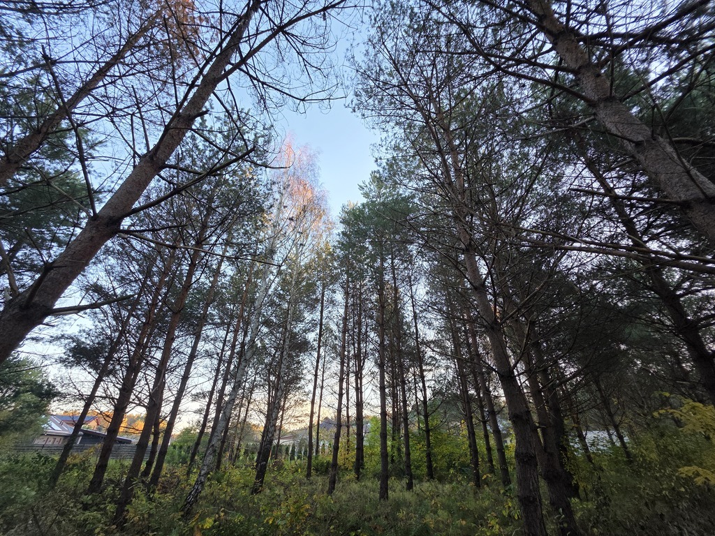 Parduodamas sklypas Vyturio g., Ketvergiai, 19.61 a ploto
